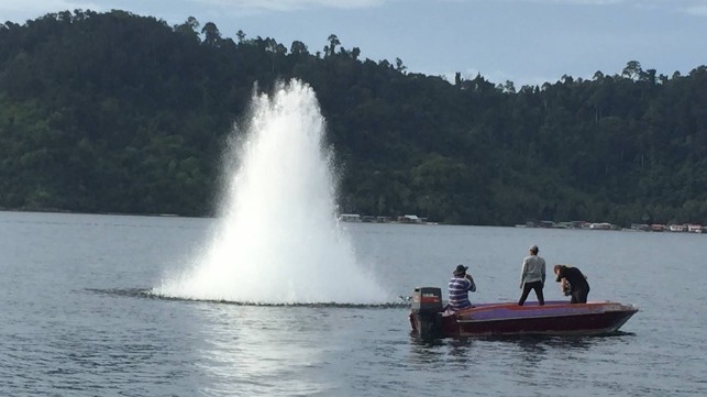 Tackling Fish-Bombing at Malaysia's Vulnerable Coral Reefs - The Maritime Executive