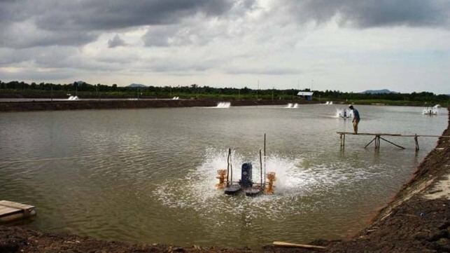 Shrimp aquaculture pond, Indonesia (Herman Gunawan / CC BY SA 3.0)