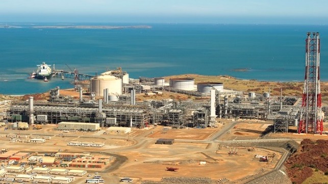 Australia Japan fesability of ammonia fuel supply chain