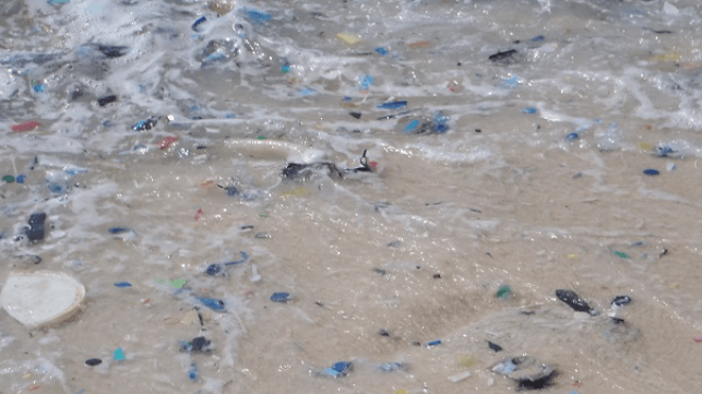 plastic pollution